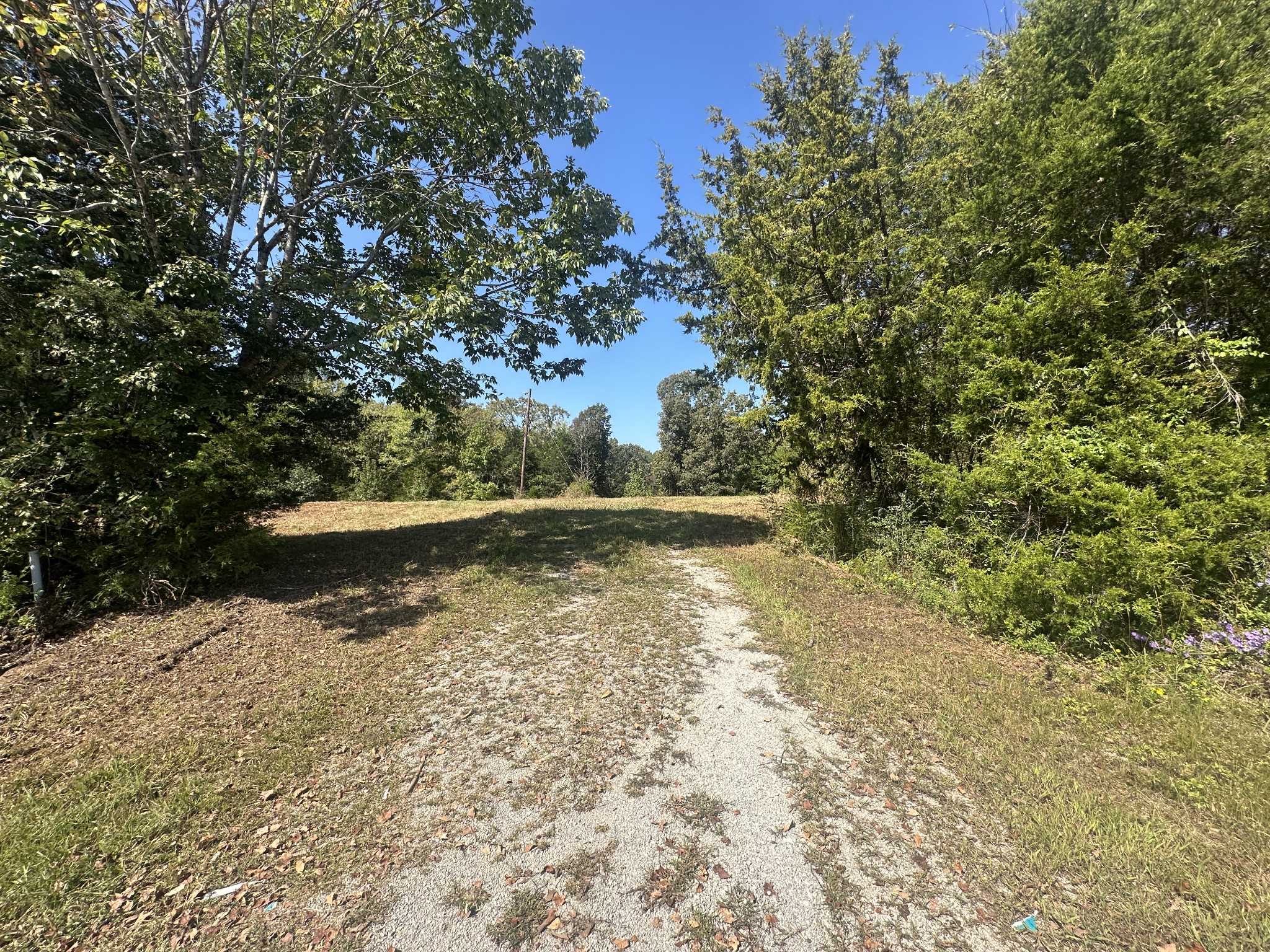 1885 Griffintown Road Sparta, TN 38583 - Photo 3 of 13