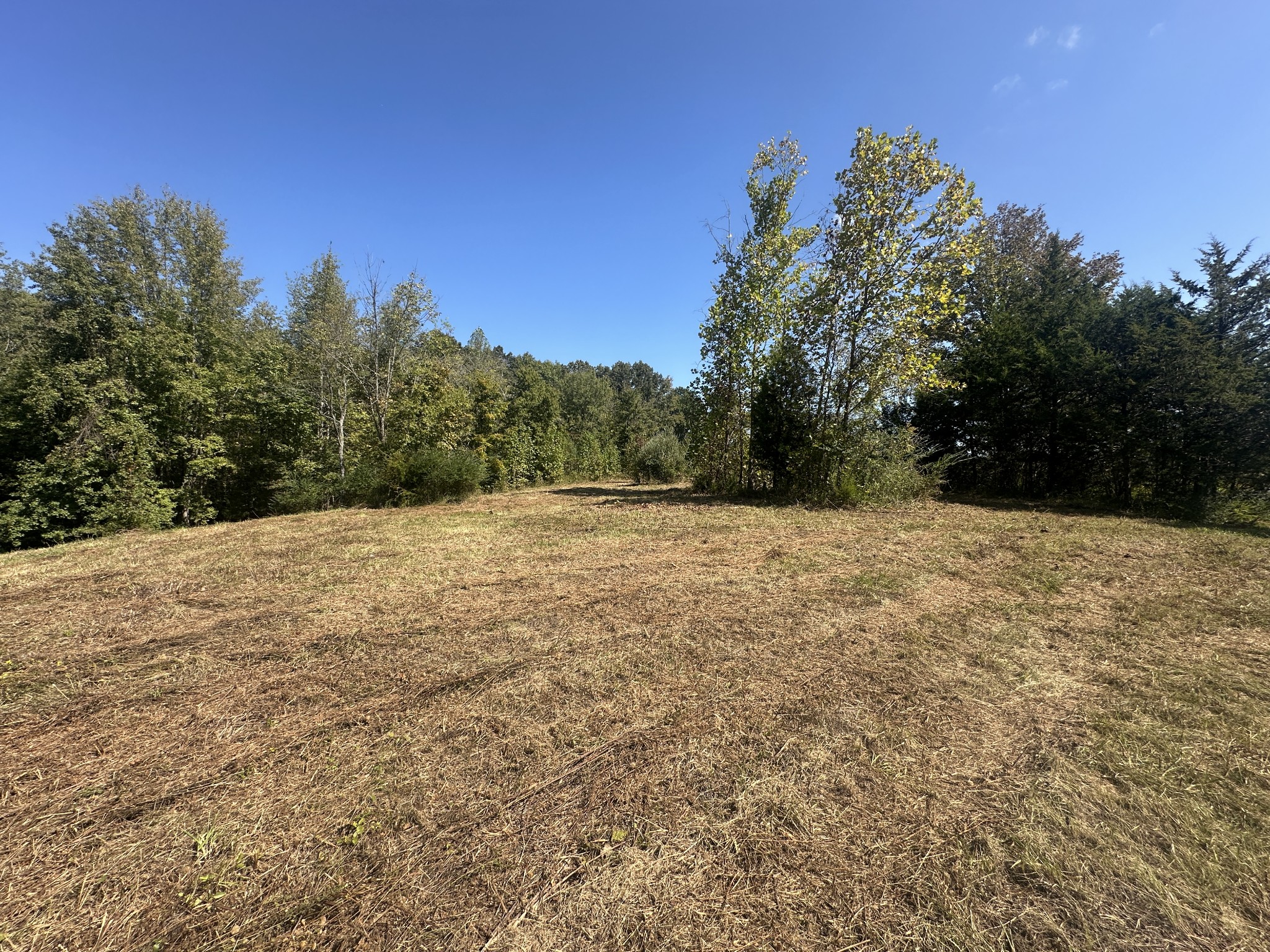 1885 Griffintown Road Sparta, TN 38583 - Photo 5 of 13