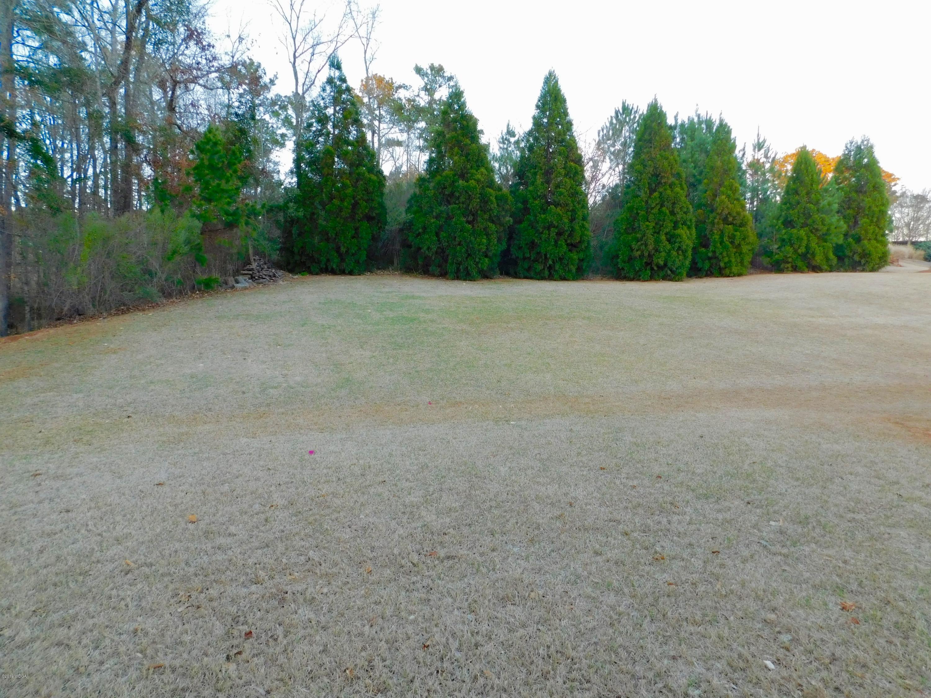 35 Adam Drive Forsyth, GA 31029 - Photo 29 of 31 Backyard