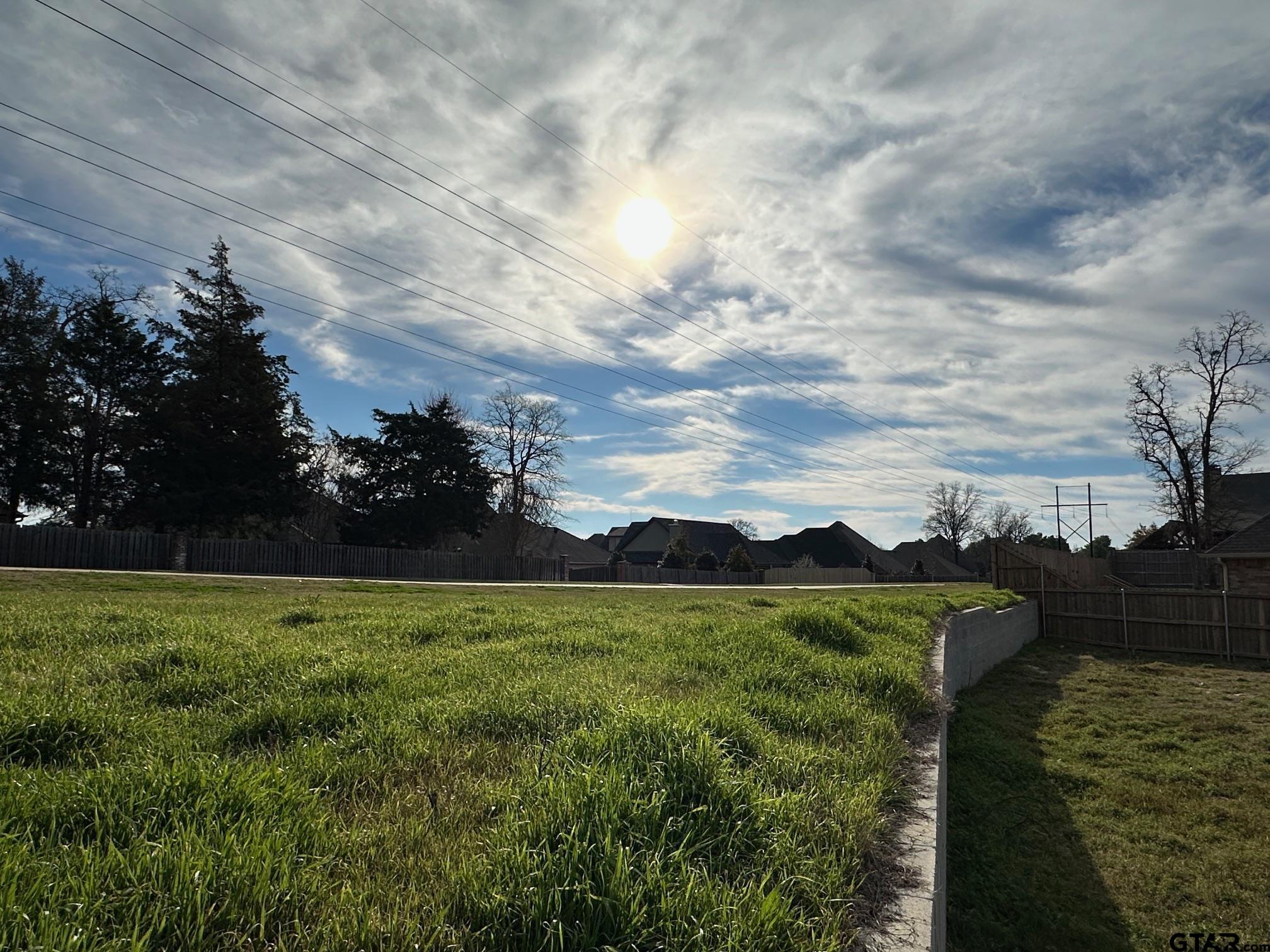 7661 Princedale Tyler, TX 75703 - Photo 2 of 3 a view of a garden with an outdoor space