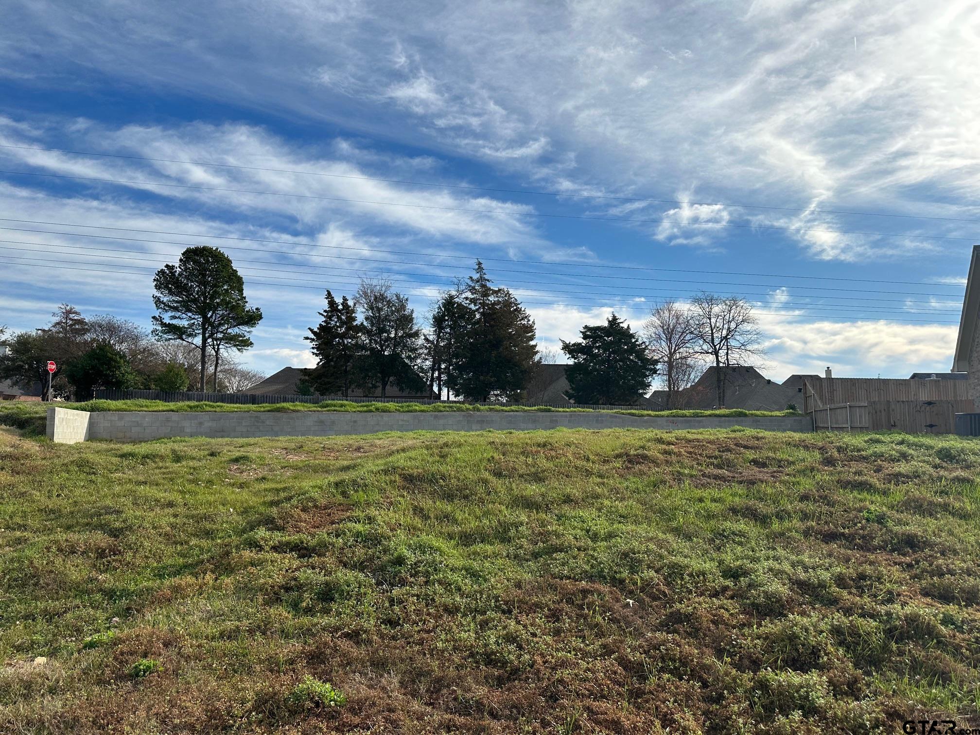 7661 Princedale Tyler, TX 75703 - Photo 3 of 3 a view of a green field