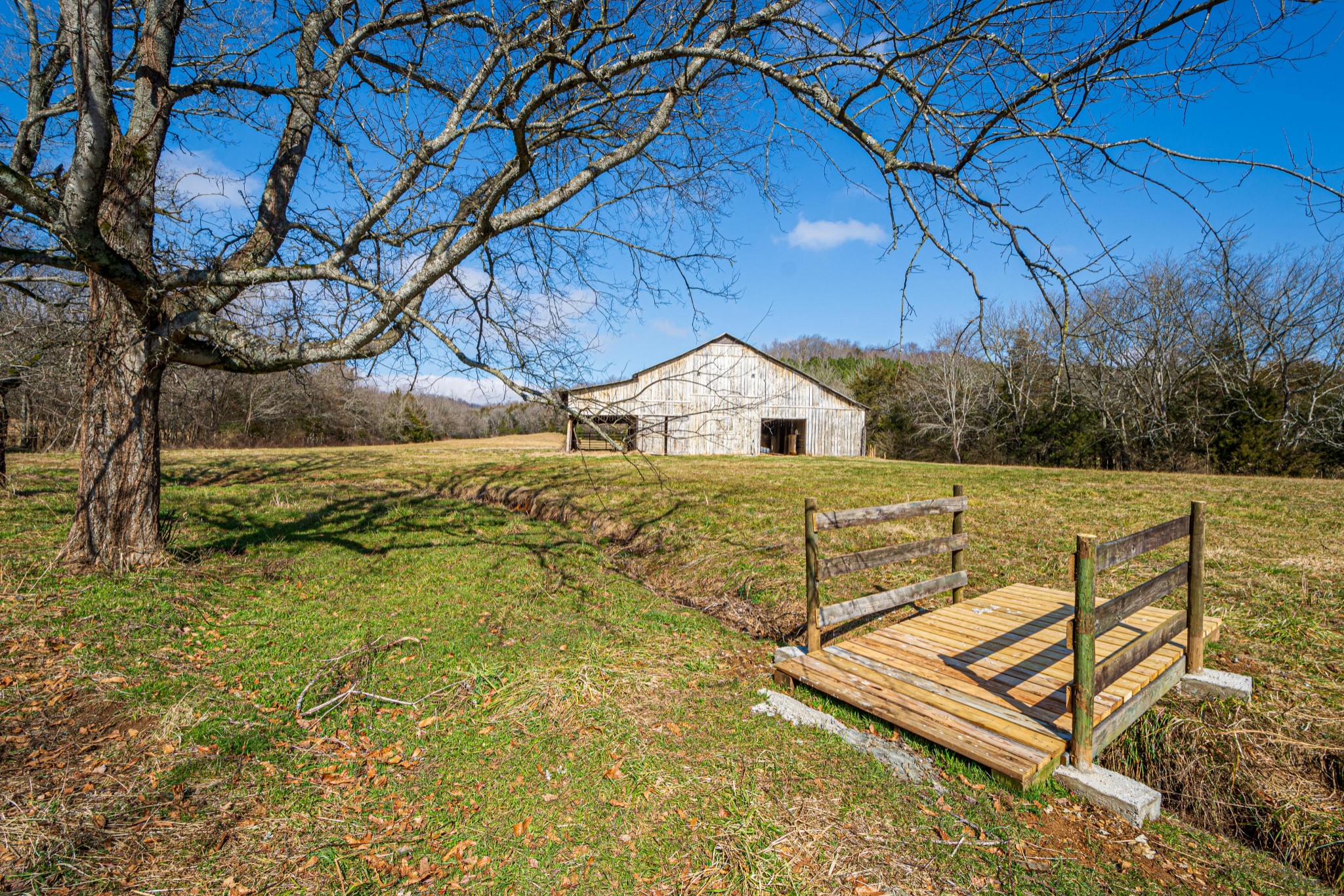 1185 Bee Spring Road Dellrose, TN 38453 - Photo 45 of 50