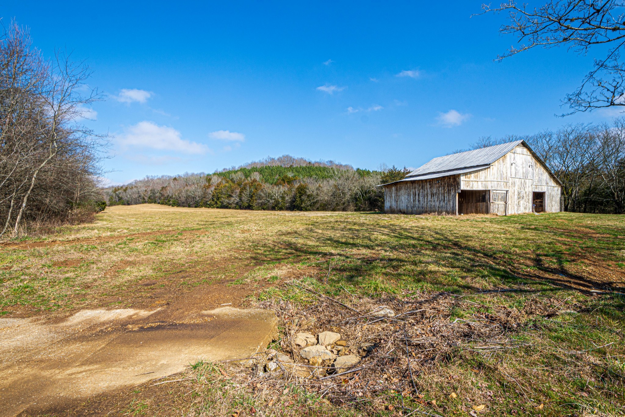 1185 Bee Spring Road Dellrose, TN 38453 - Photo 47 of 50