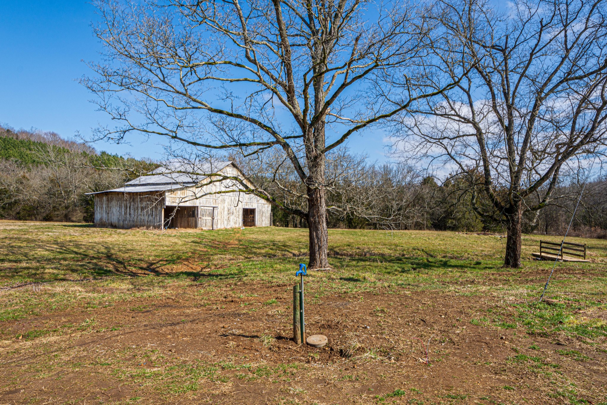 1185 Bee Spring Road Dellrose, TN 38453 - Photo 48 of 50