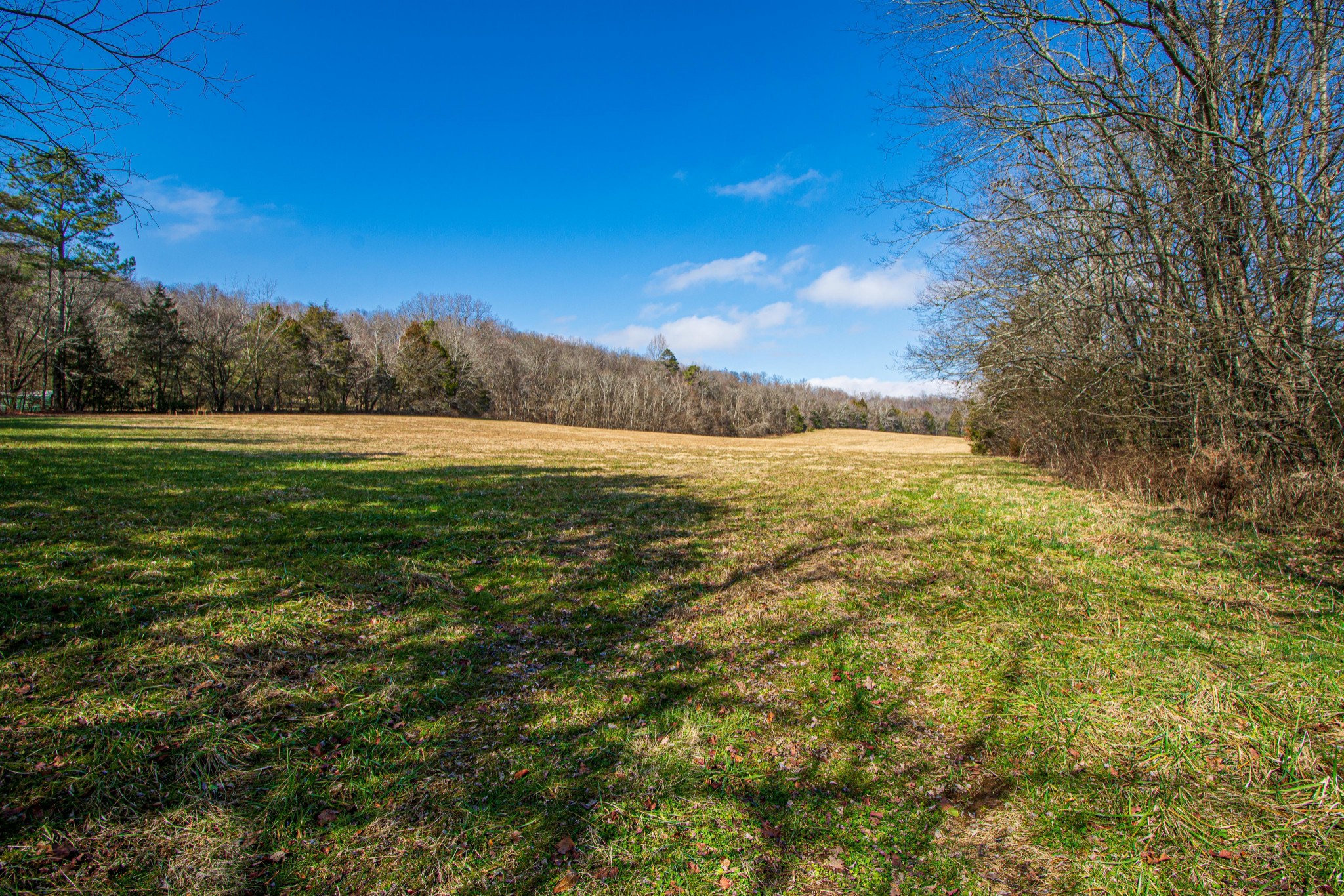 1185 Bee Spring Road Dellrose, TN 38453 - Photo 49 of 50