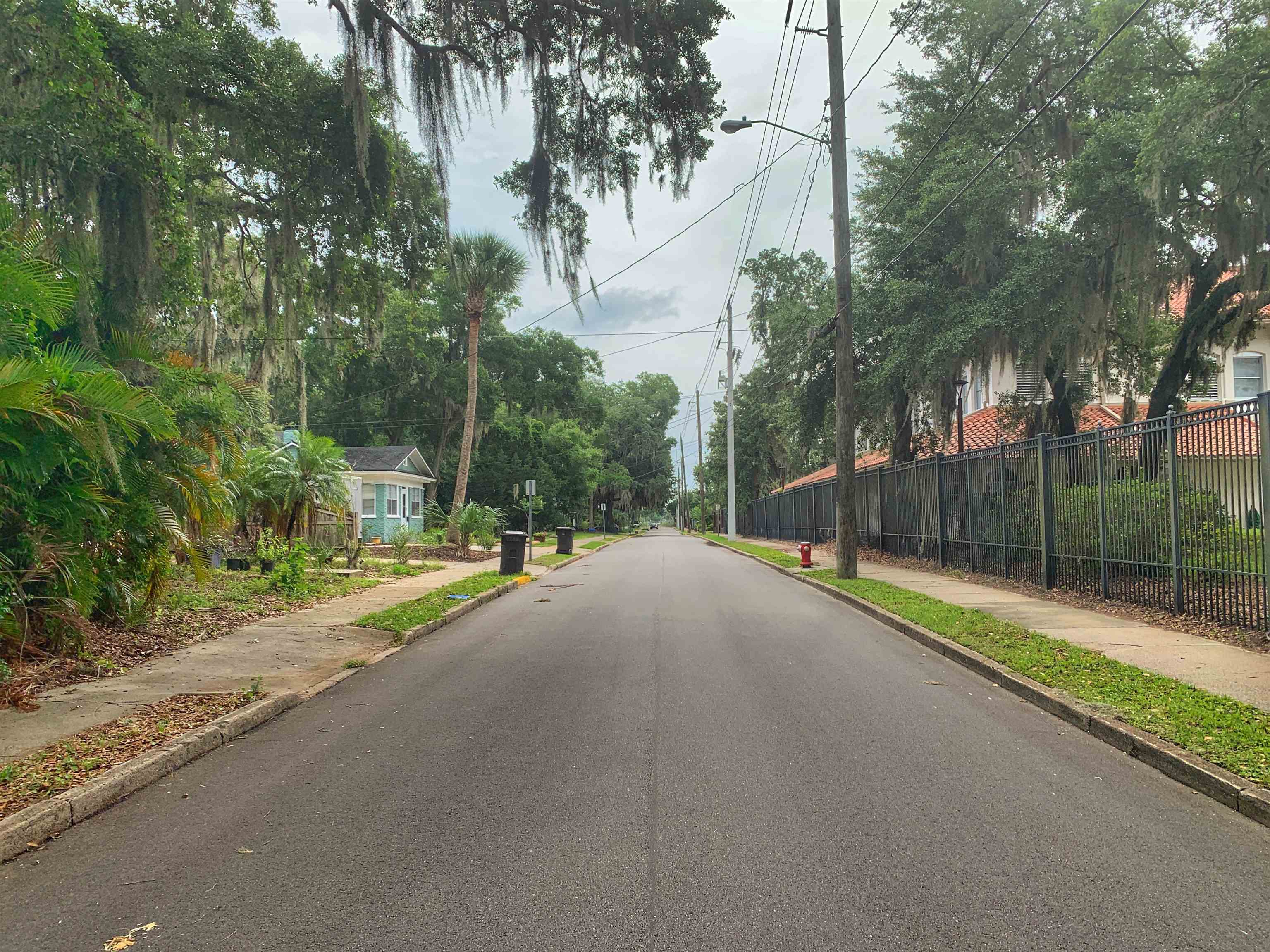 20 Macaris Street St. Augustine, FL 32084 - Photo 29 of 29 a view of a street with a large trees