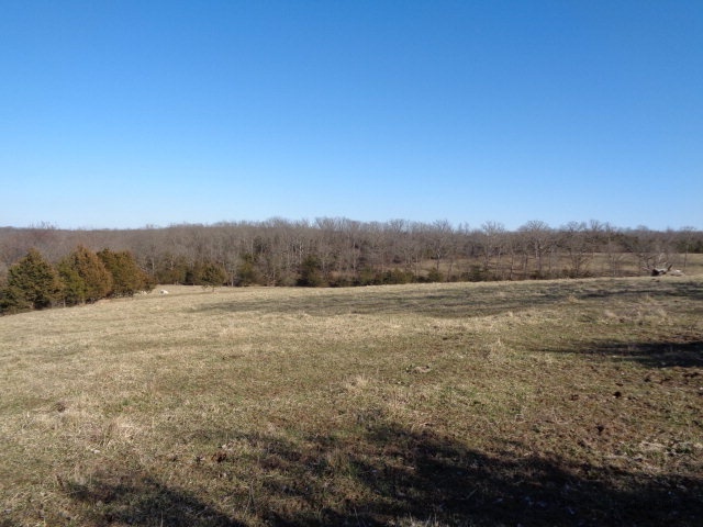 Whippoorwill Road California, MO 65018 - Photo 7 of 10