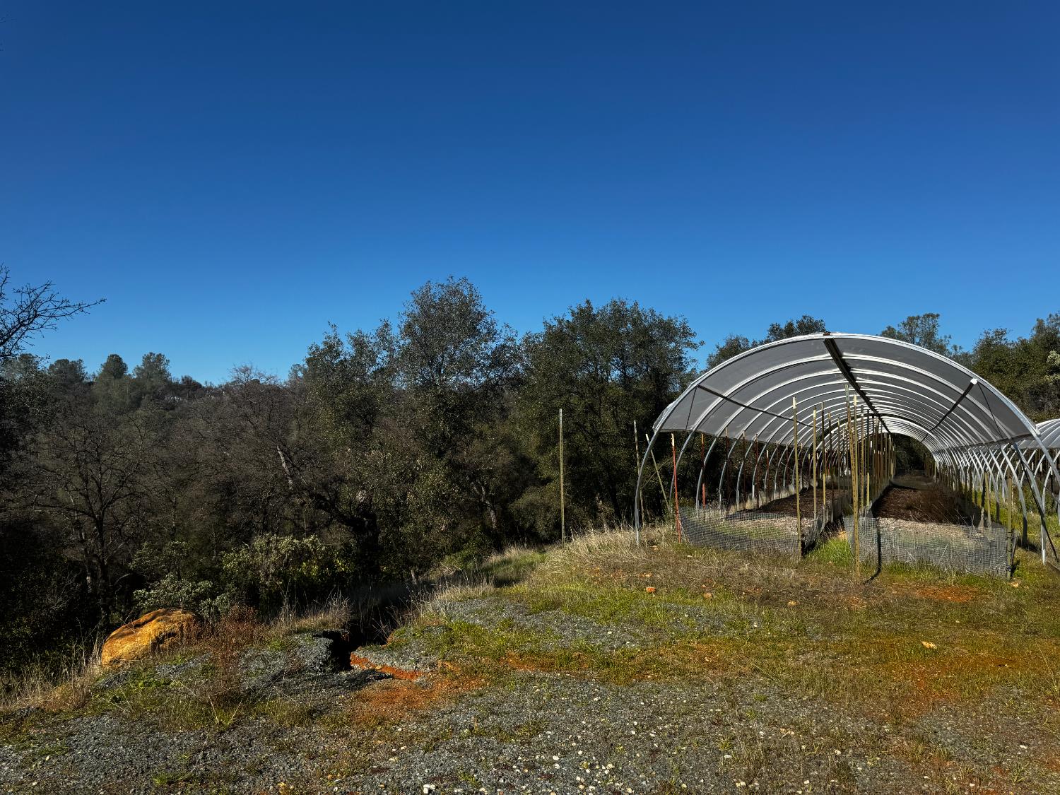 15806 Perimeter Road Grass Valley, CA 95949 - Photo 16 of 48 Leach field and is just below the hoop buildings.