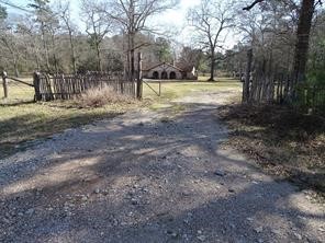 10235 White Rock Road Conroe, TX 77306 - Photo 23 of 25 a view of back yard with trees