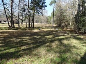 10235 White Rock Road Conroe, TX 77306 - Photo 24 of 25 a view of road with large trees