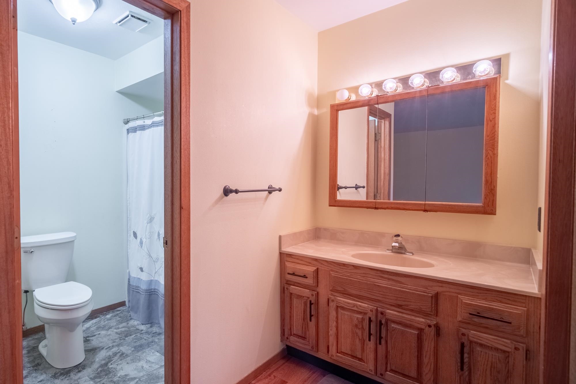 1260 Lake Summerset Road Davis, IL 61019 - Photo 11 of 24 a bathroom with a granite countertop sink toilet a large mirror and shower