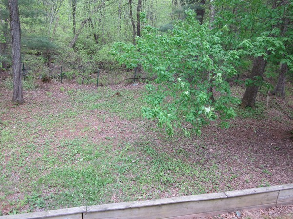 229 Ramblewood Drive Springfield, MA 01118 - Photo 19 of 22