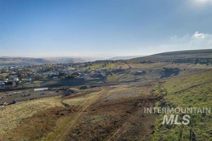 2662 South Slope Lane Clarkston, WA 99403 - Photo 3 of 18 Overview of rural landscape
