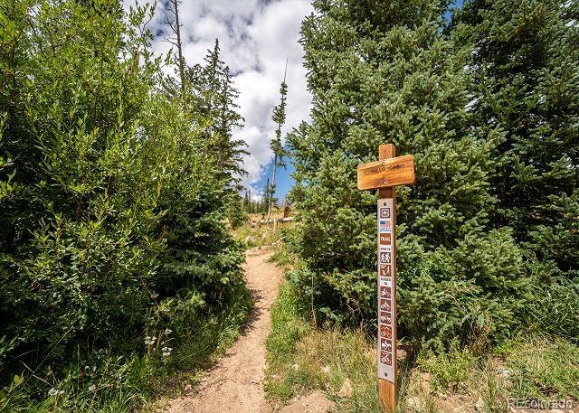 6916 Ryan Gulch Road, Unit 6916 Silverthorne, CO 80498 - Photo 29 of 33 a view of a forest with a tree