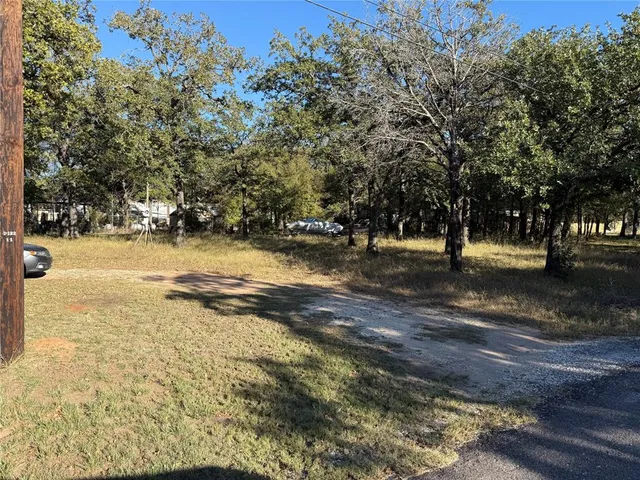 a view of dirt yard with a large tree