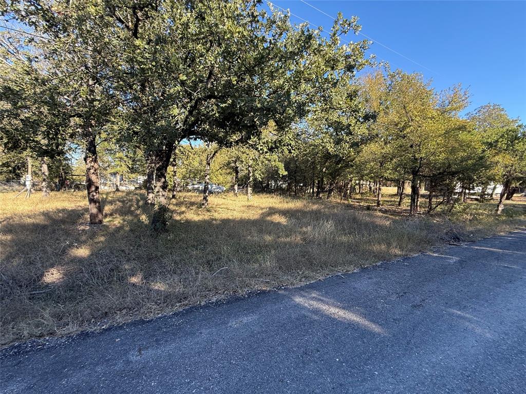 Tbd Meredith Street Whitney, TX 76692 - Photo 4 of 10 a view of dirt yard with a large tree