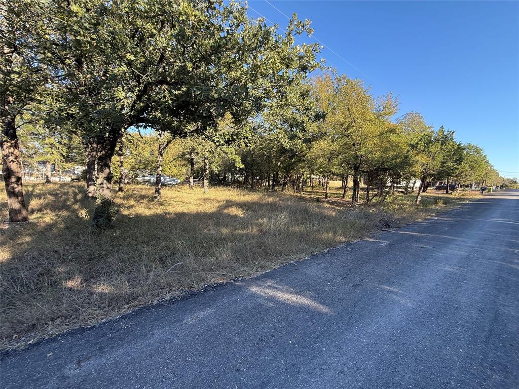 Tbd Meredith Street Whitney, TX 76692 - Photo 5 of 10 a view of dirt yard with a tree