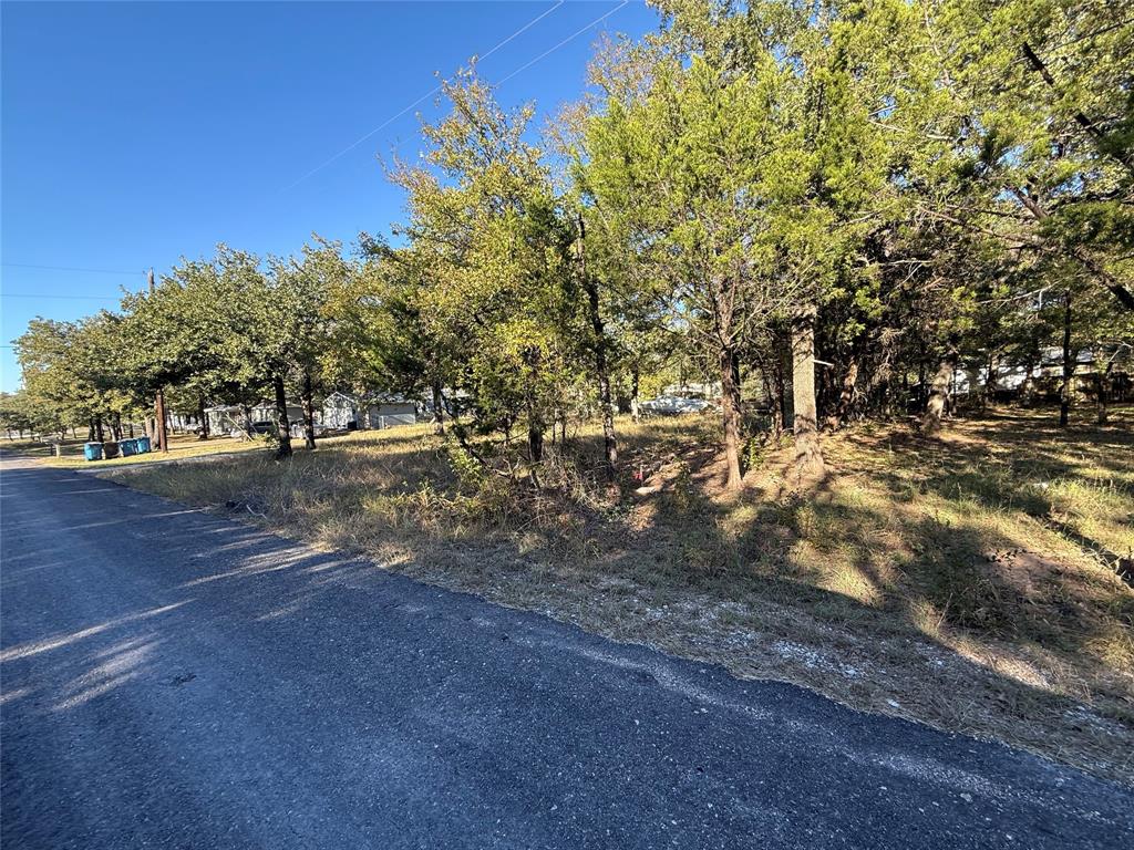 Tbd Meredith Street Whitney, TX 76692 - Photo 6 of 10 a view of dirt yard with a tree