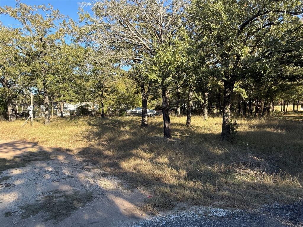 Tbd Meredith Street Whitney, TX 76692 - Photo 7 of 10 a view of yard with trees