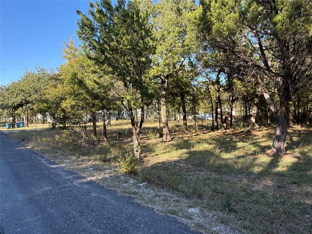Tbd Meredith Street Whitney, TX 76692 - Photo 8 of 10 a view of yard