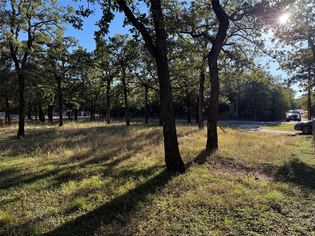 Tbd Meredith Street Whitney, TX 76692 - Photo 9 of 10 a view of a yard with a tree
