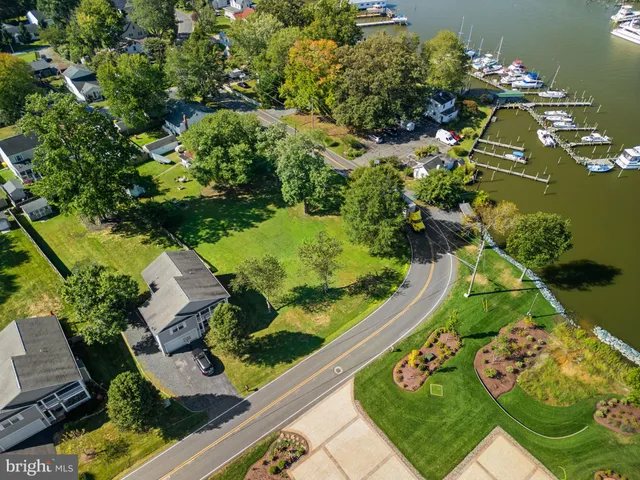 a view of a garden with flowers