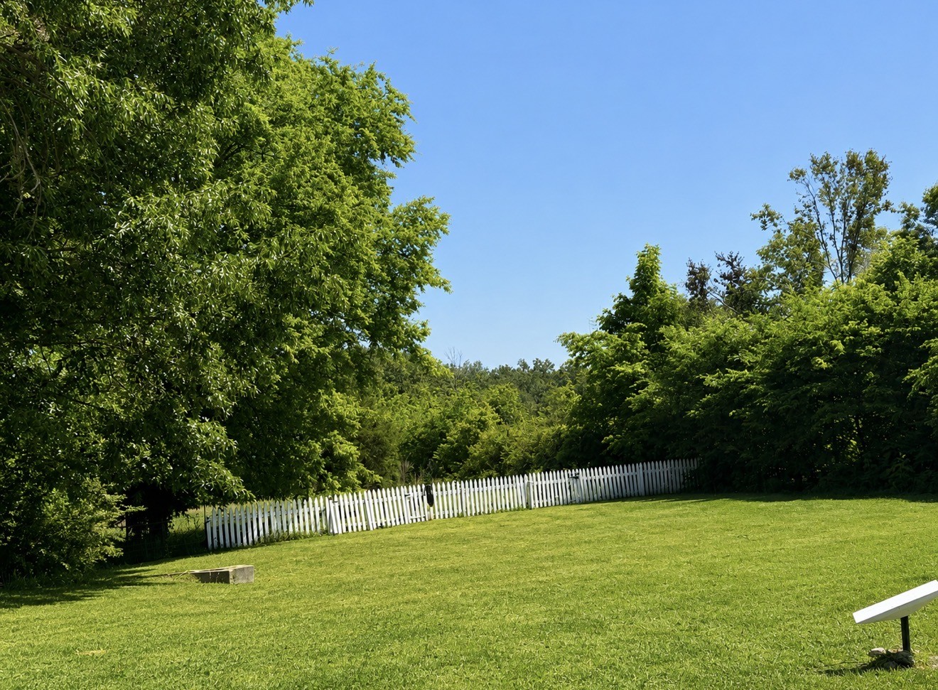 374 State Line Road Loretto, TN 38469 - Photo 21 of 24 a view of swimming pool with a yard