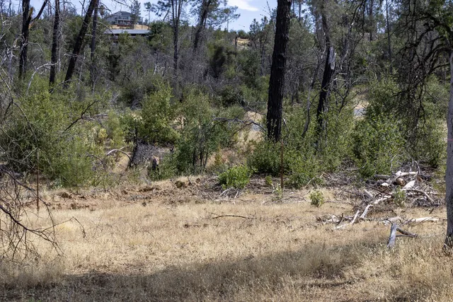 $95,000 | 15388 Shadow Mountain Lane, Shasta, CA 96087