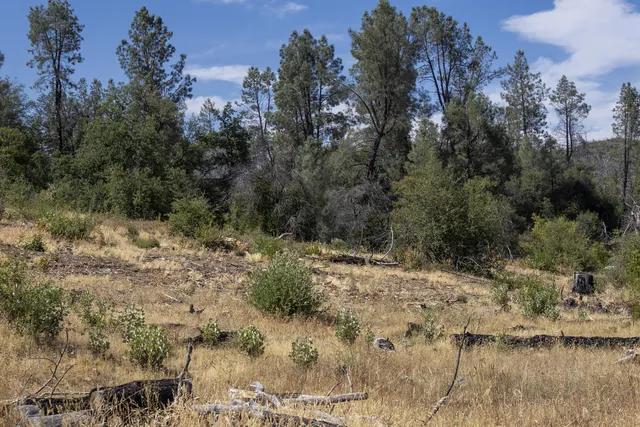 $95,000 | 15388 Shadow Mountain Lane, Shasta, CA 96087