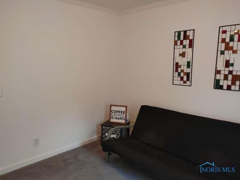 15436 County Road North Napoleon, OH 43545 - Photo 47 of 48 Gallery Image 47