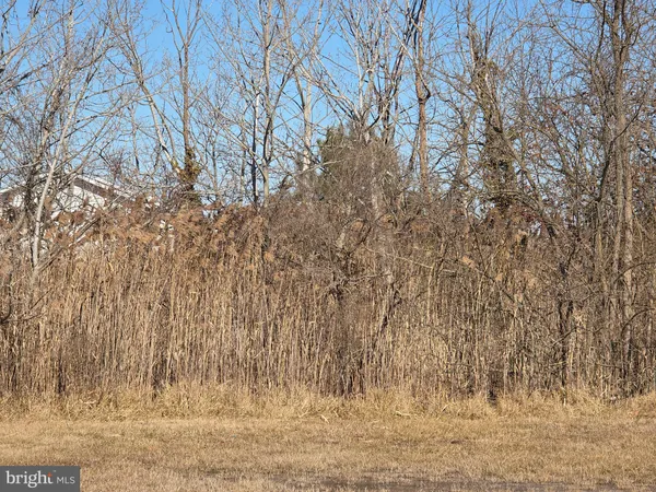 a view of a yard