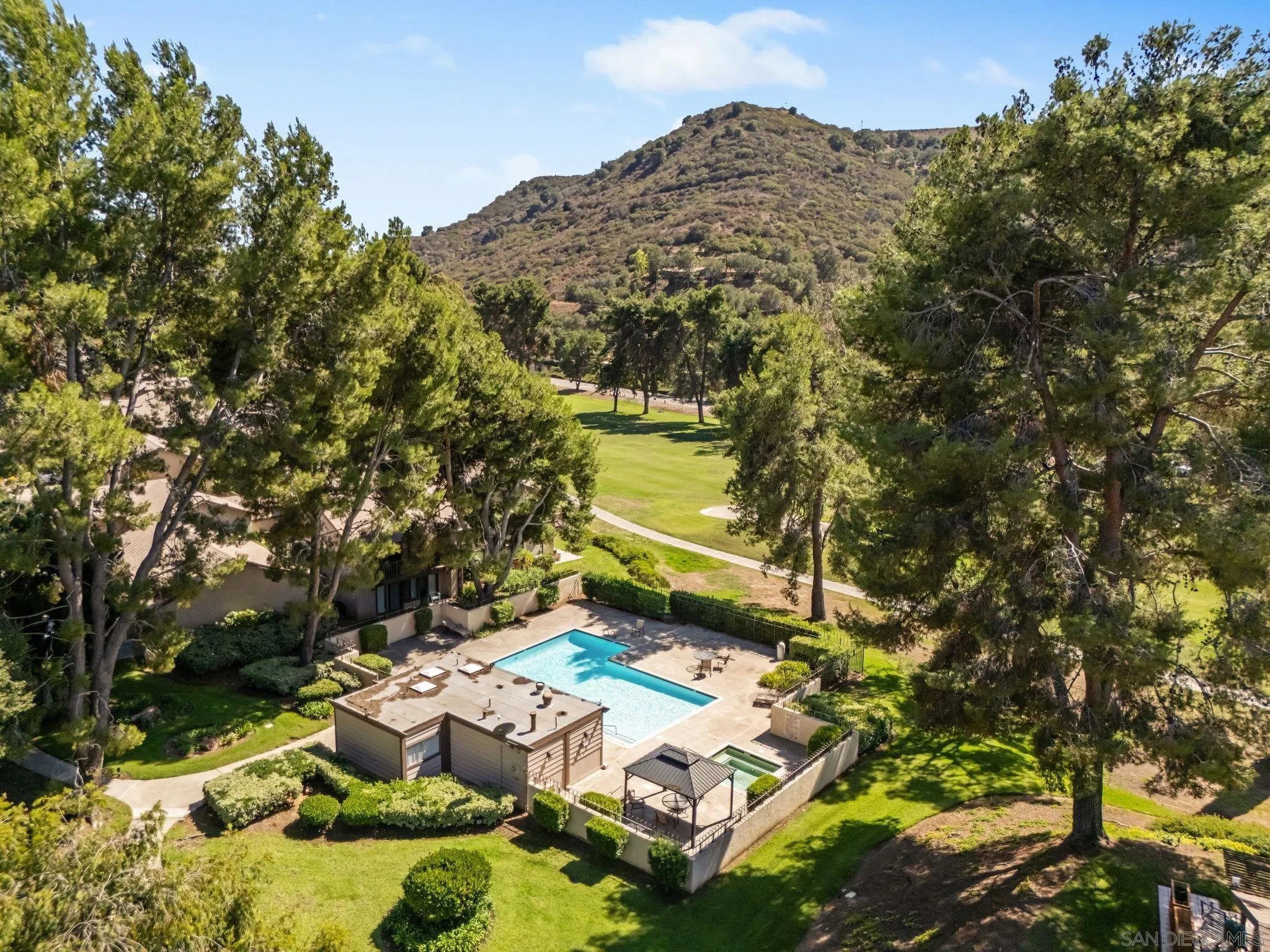 4121 Oak Island Lane Fallbrook, CA 92028 - Photo 19 of 25 a view of a yard with plants and large trees