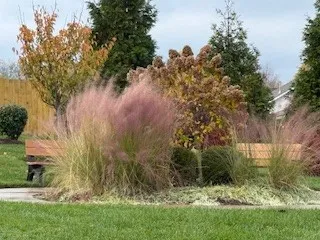 a view of house with a big yard and large trees
