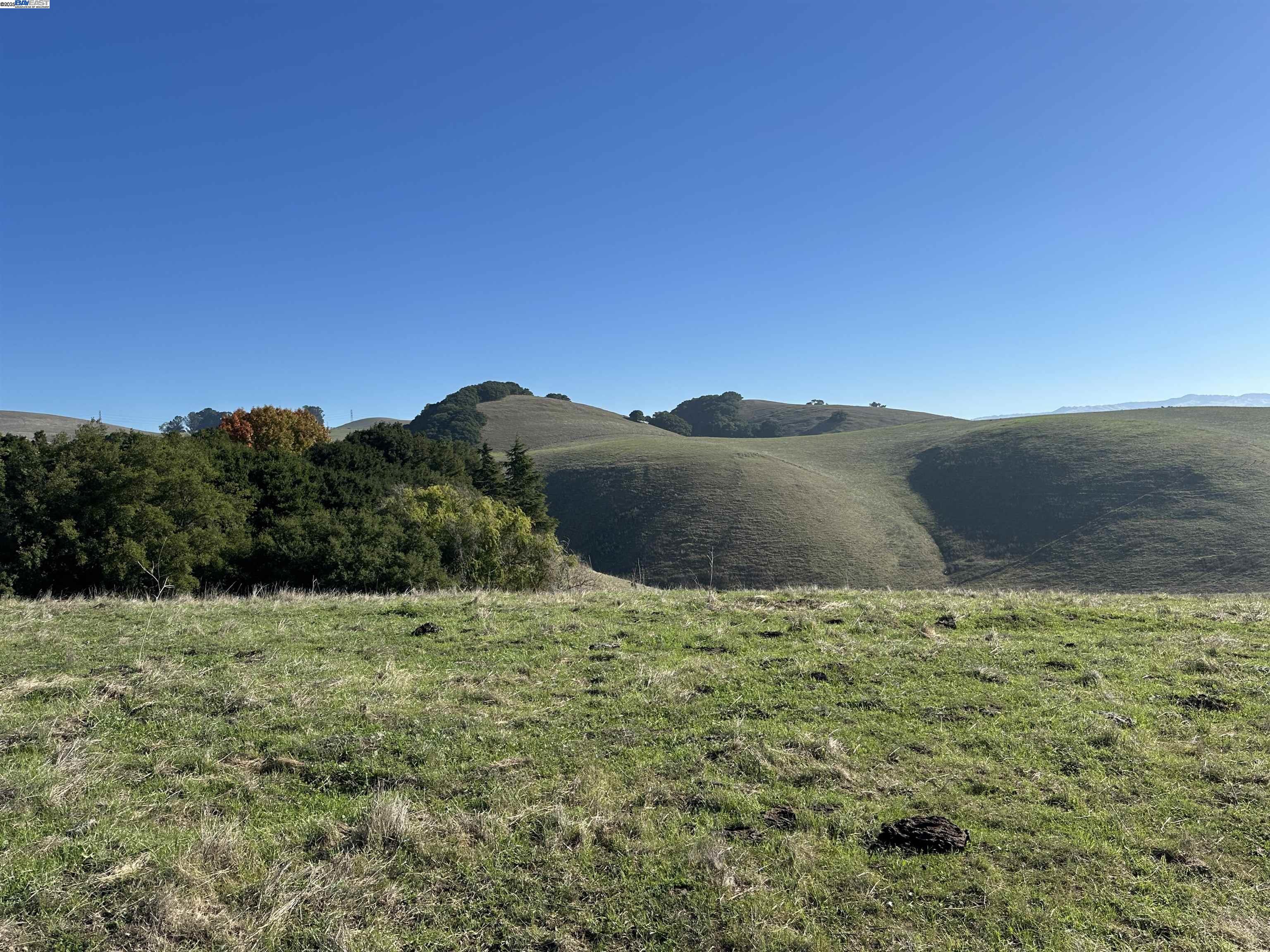 Old Canyon Road, Unit 2 Fremont, CA 94539 - Photo 4 of 6