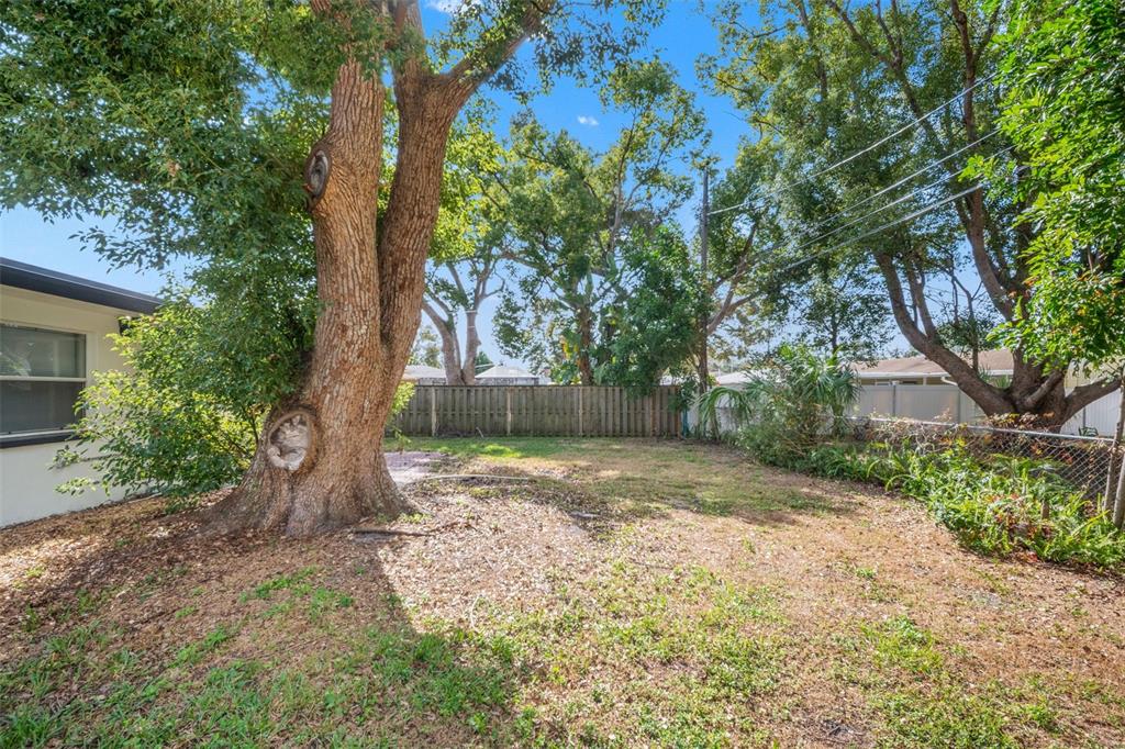 1472 Ruth Road Dunedin, FL 34698 - Photo 38 of 50 a view of a tree in the middle of a yard