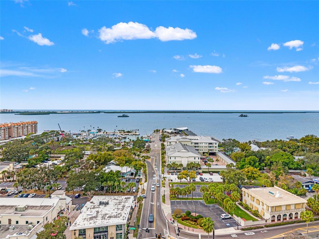 1472 Ruth Road Dunedin, FL 34698 - Photo 48 of 50 a view of a city