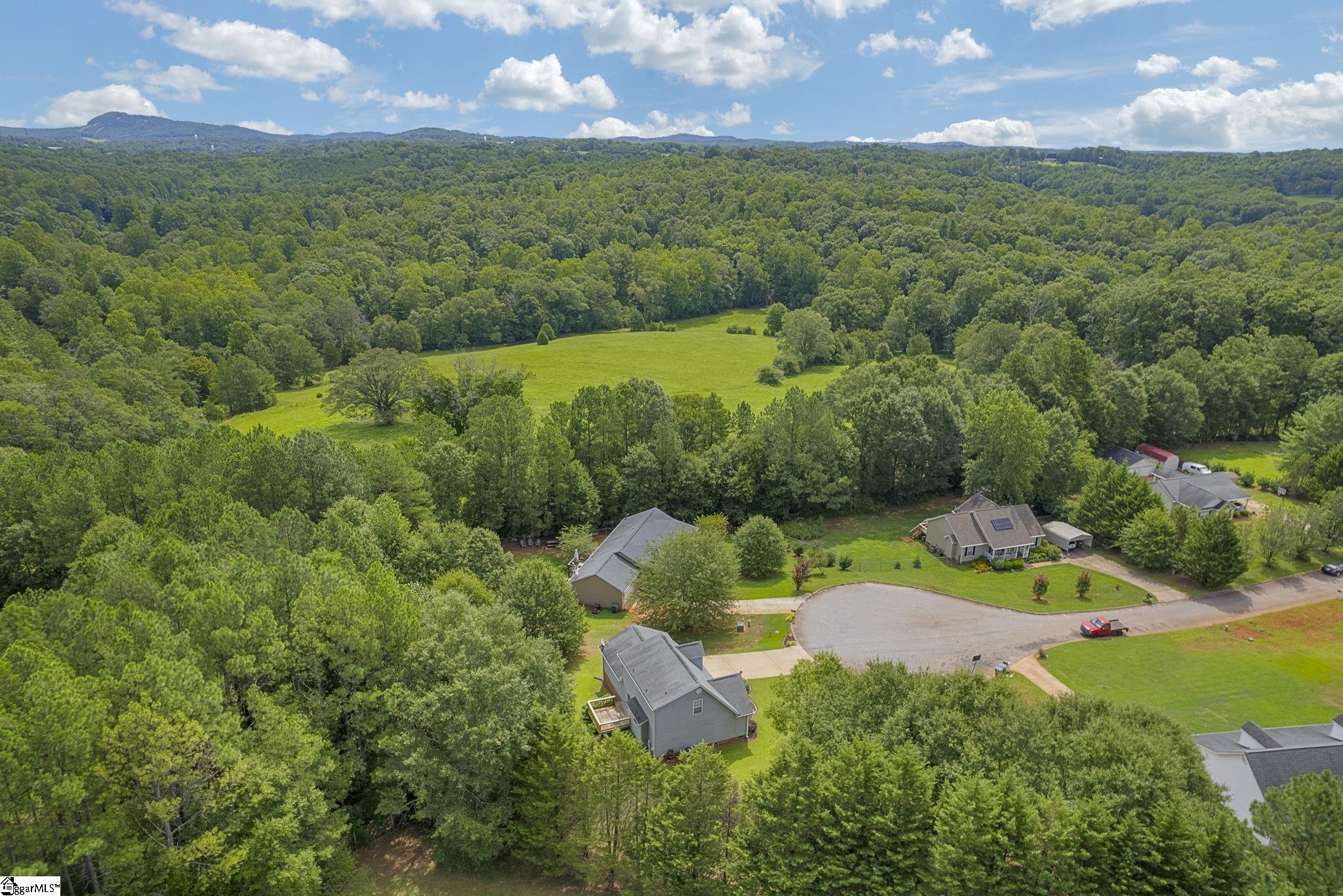 127 Dace Drive Pickens, SC 29671 - Photo 32 of 34