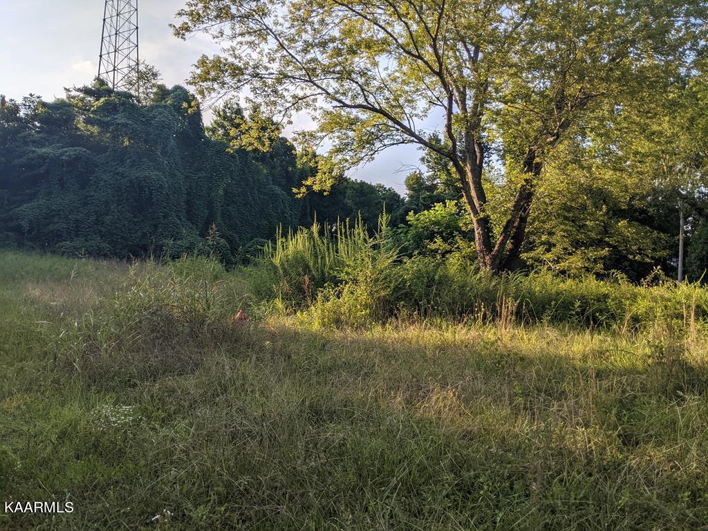 Cemetery Rd Spring Spring City, TN 37381 - Photo 3 of 5 20214659_4