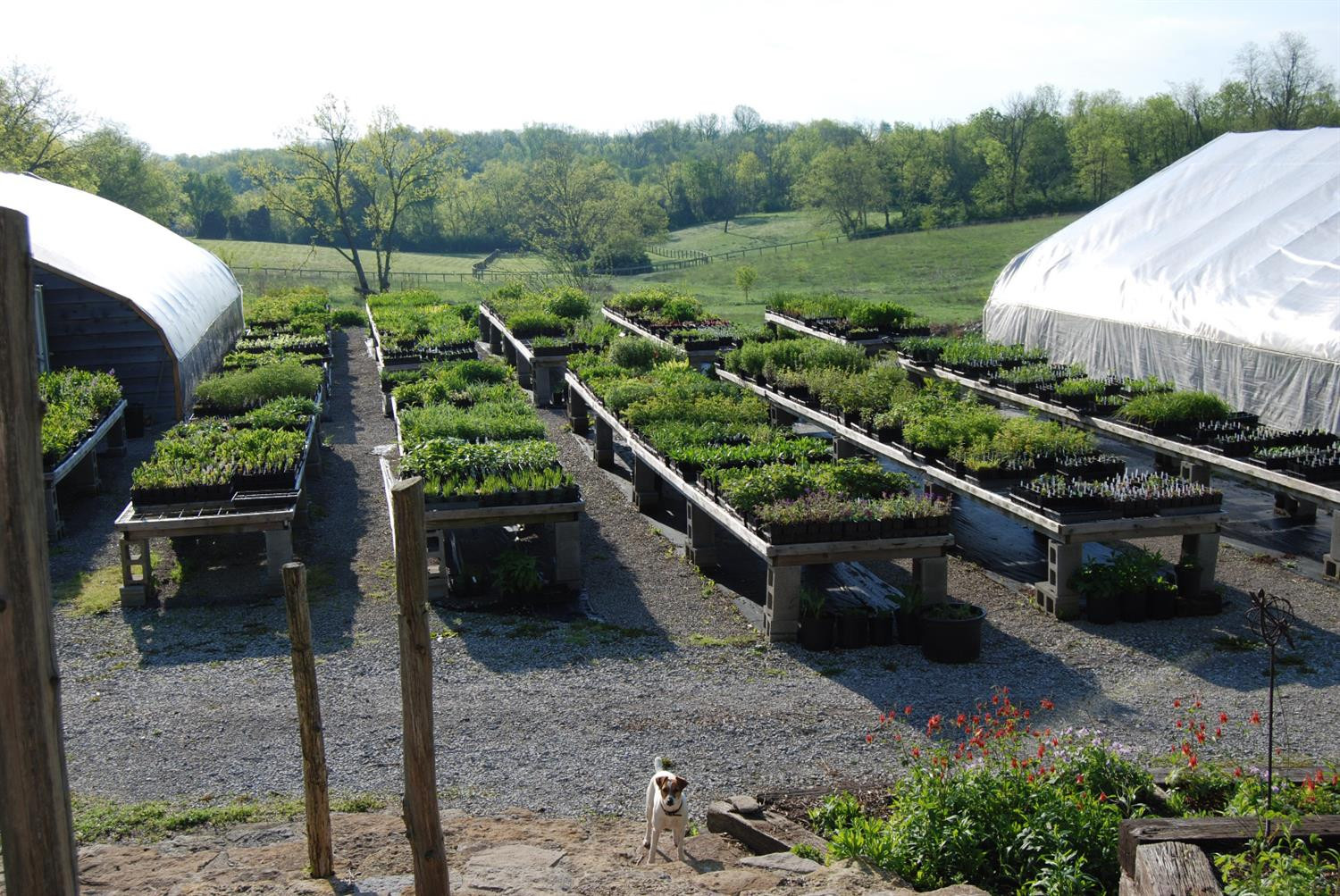 160 Soards Road Georgetown, KY 40324 - Photo 24 of 43 Photo 24