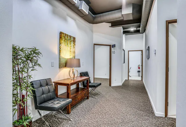 a living room with furniture and a potted plant