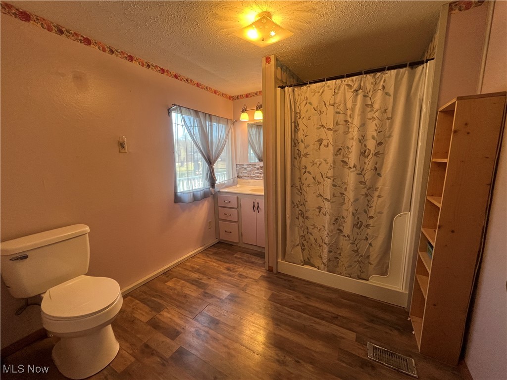 57894 Flamingo Road Senecaville, OH 43780 - Photo 11 of 20 Bathroom featuring vanity, wood finished floors, visible vents, a textured ceiling, and toilet