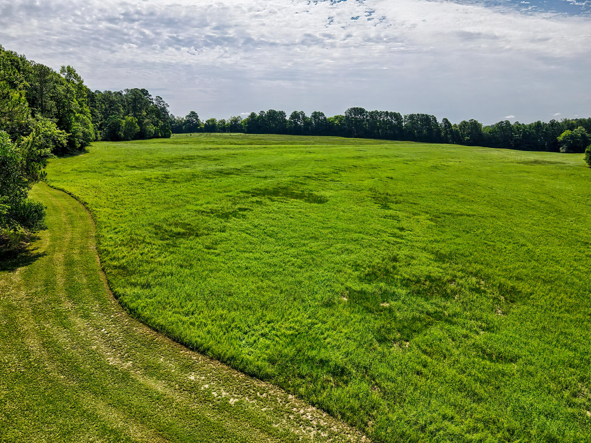 1290 Richardsons Lake Road Aiken, SC 29803 - Photo 63 of 101