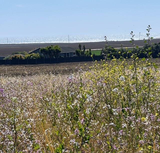 0 Bluff Road Moss Landing, CA 95039 - Photo 10 of 12 Gallery Image 10