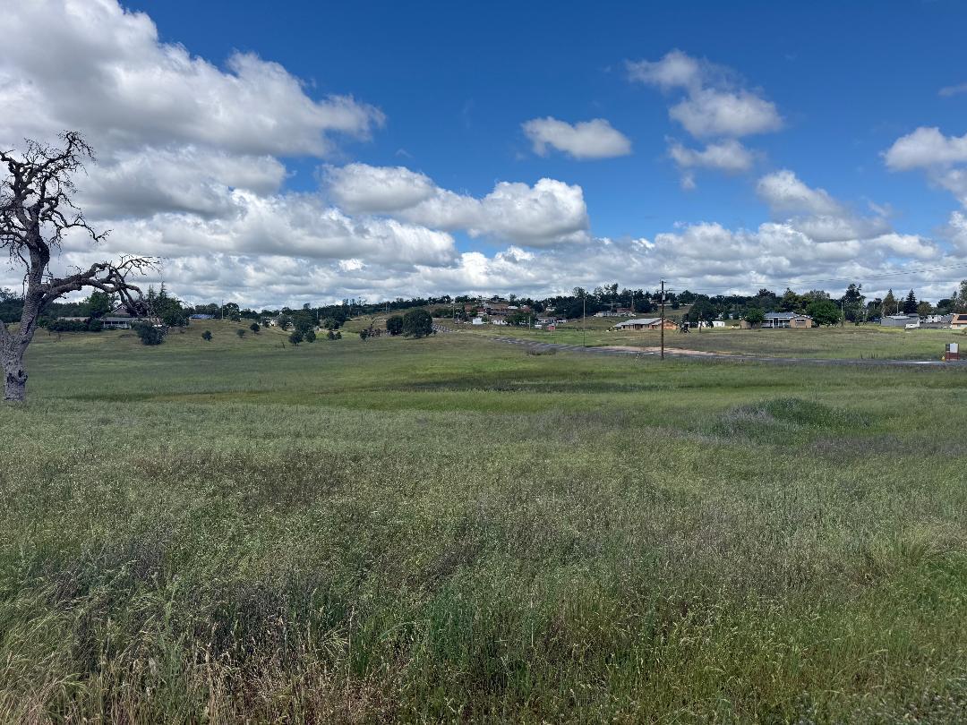 3084 Little John Road Copperopolis, CA 95228 - Photo 2 of 15 a view of a big room with a big yard