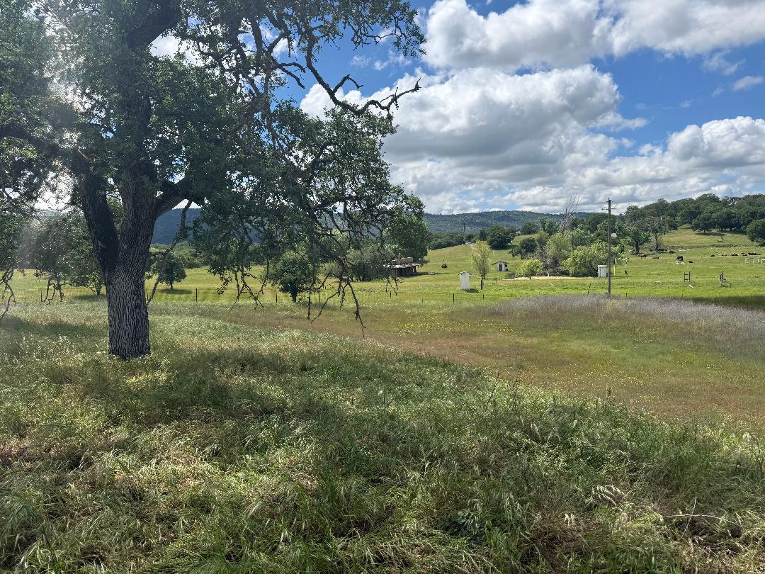 3084 Little John Road Copperopolis, CA 95228 - Photo 8 of 15 a view of a yard with a tree