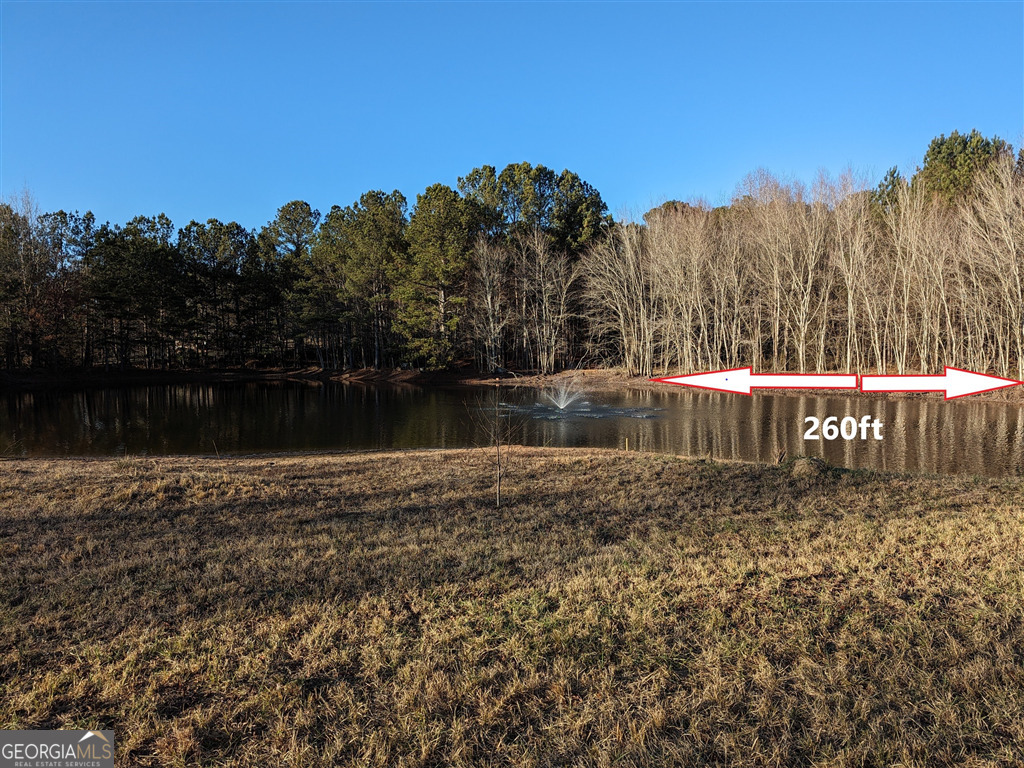 461 McDonough Road Hampton, GA 30228 - Photo 2 of 4