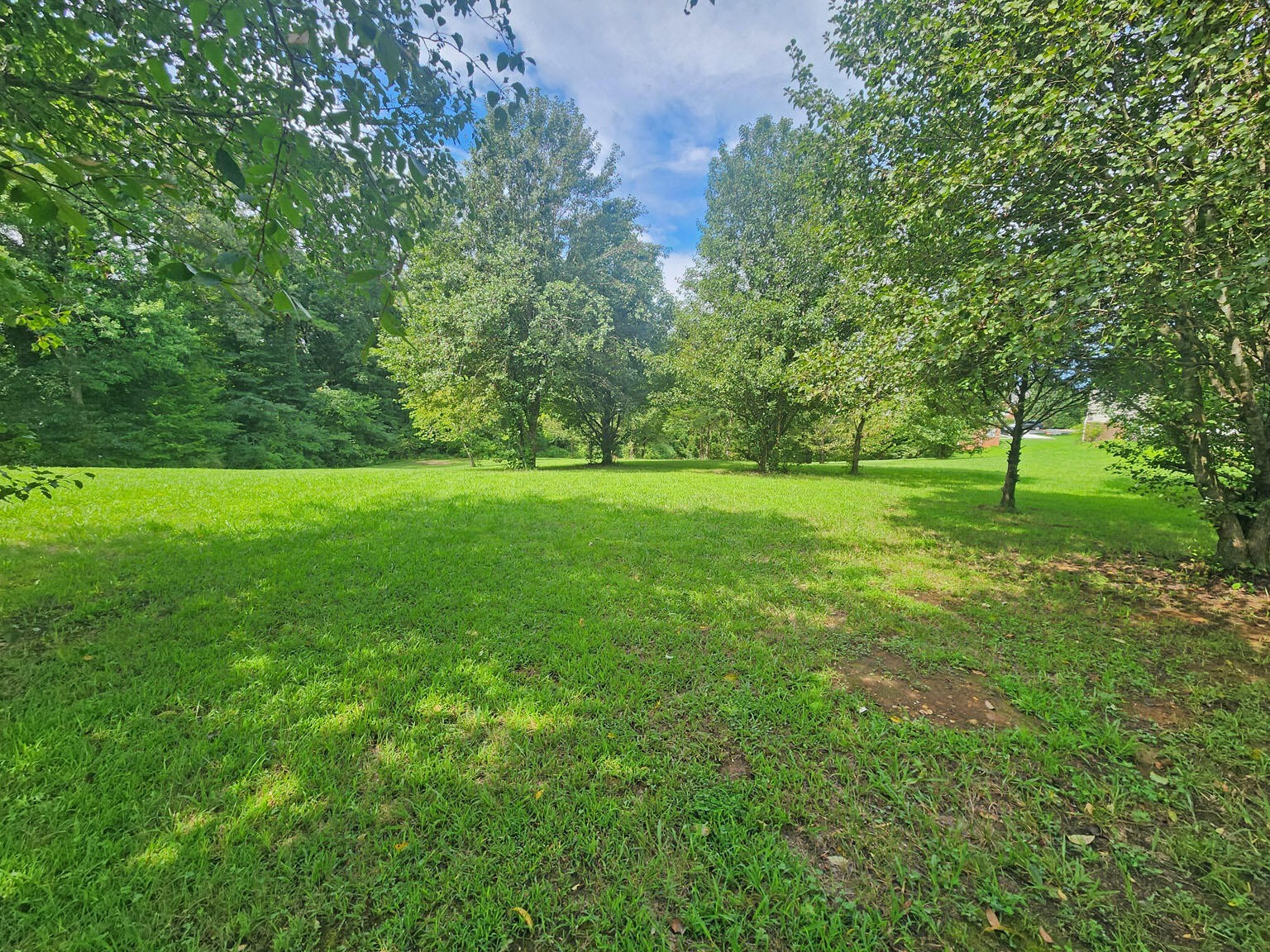 8 Riceland Drive Sevierville, TN 37862 - Photo 3 of 16 a view of field with trees in the background