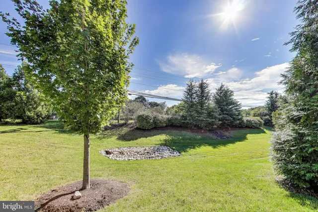a view of a pathway both side of grassy field with trees