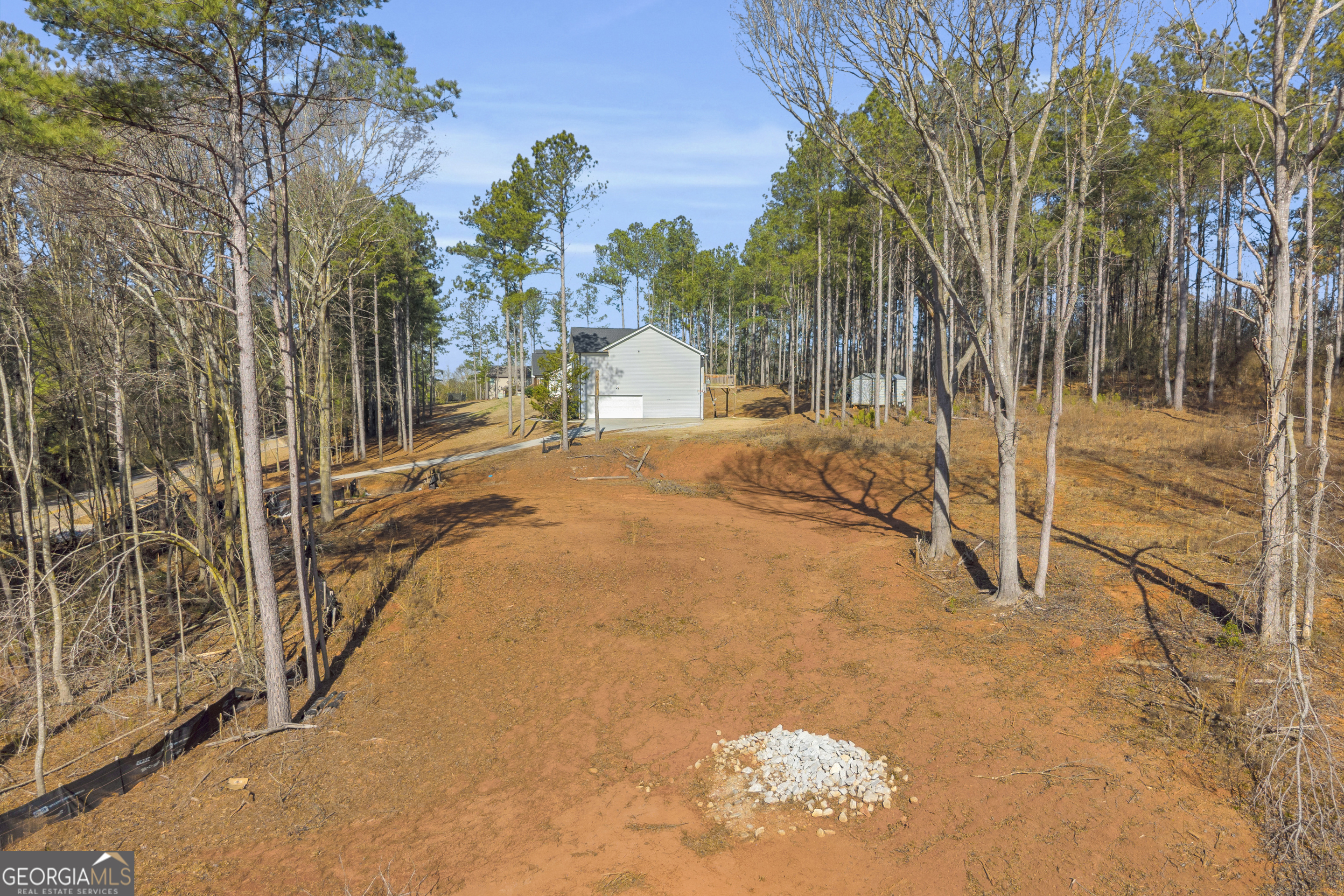 0 Noah Crow Road Royston, GA 30662 - Photo 15 of 29 a view of a yard with palm trees