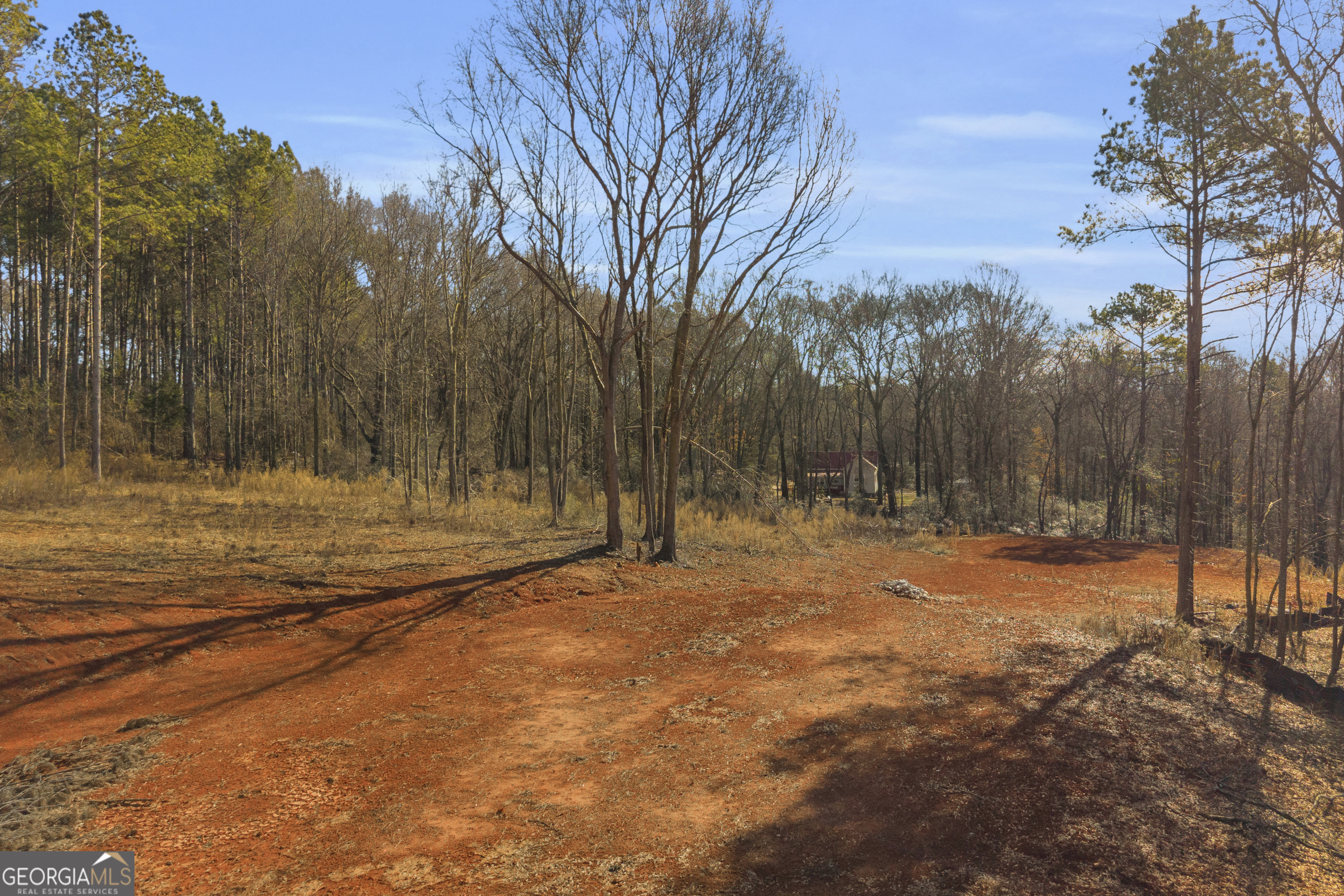 0 Noah Crow Road Royston, GA 30662 - Photo 18 of 29 a view of dirt yard with a large tree
